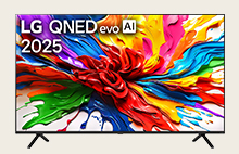 LG QNED evo TV with a visually-pleasing artwork and the LG QNED evo AI 2025 title on its screen.	