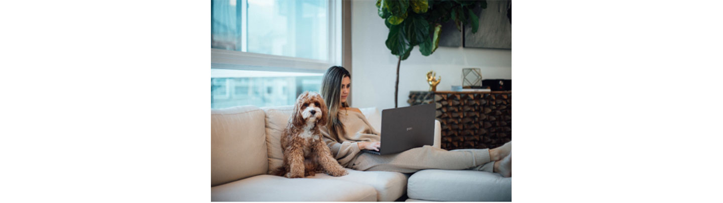 A woman working comfortably with the slim and light LG gram on her living room sofa with her dog by her side.