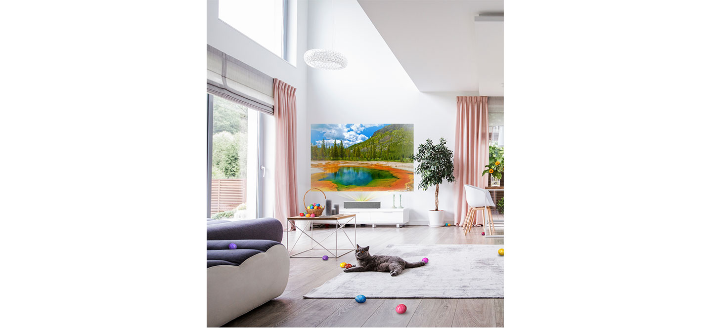 A modern living space equipped with LG products and a cute cat playing on the carpet.