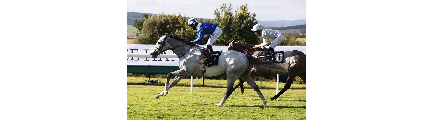 Horses racing at the Qatar Goodwood Festival, which was held in the south of England
