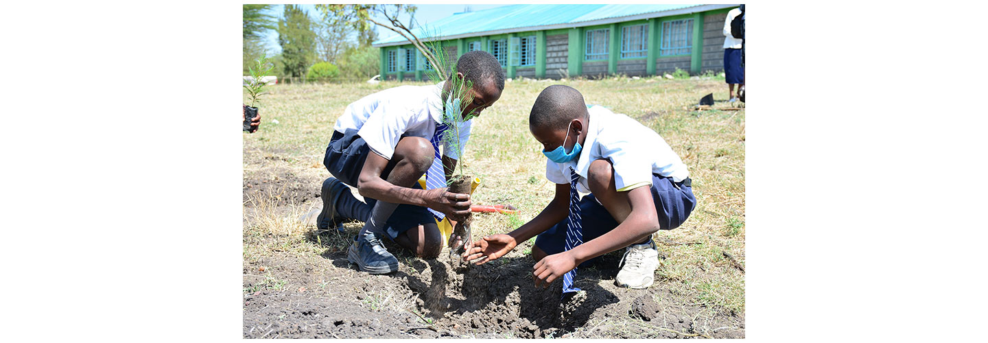 Two students planting trees to help improve their school ground.