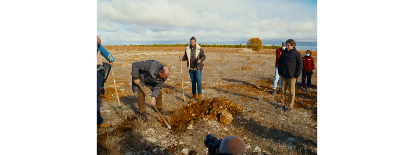 Volunteer workers planting trees as part of LG Spain’s Smart Green Movement.