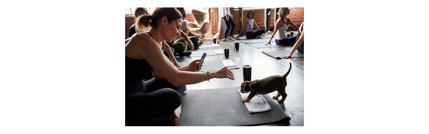 A woman taking a picture of a puupy during the session