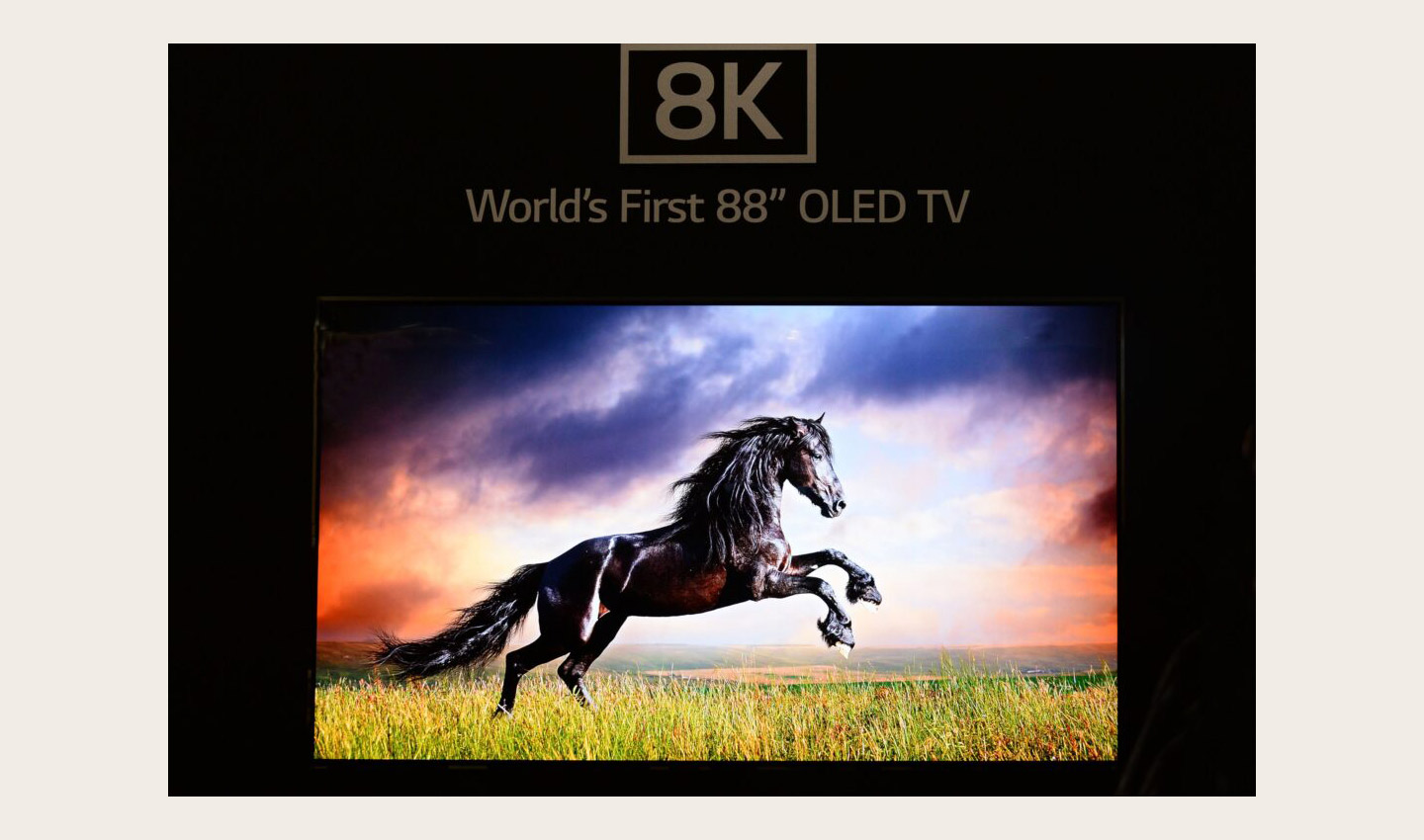 Front close-up view of World’s First 8K OLED TV display at IFA 2018, showing a leaping horse on the screen