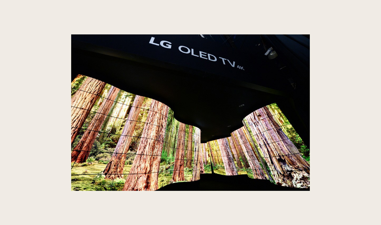 LG OLED Canyon
