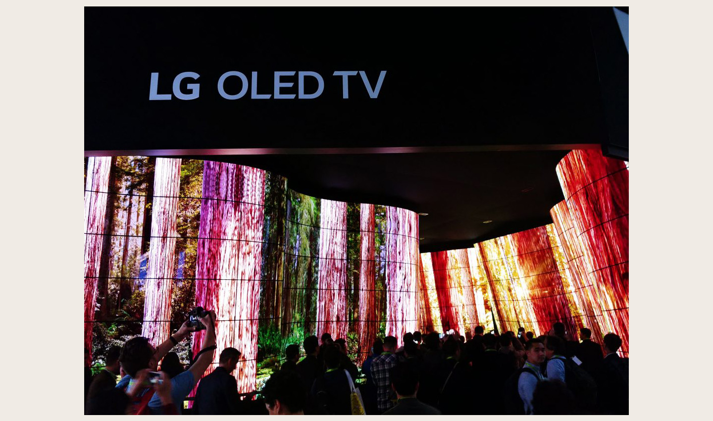 LG OLED Canyon