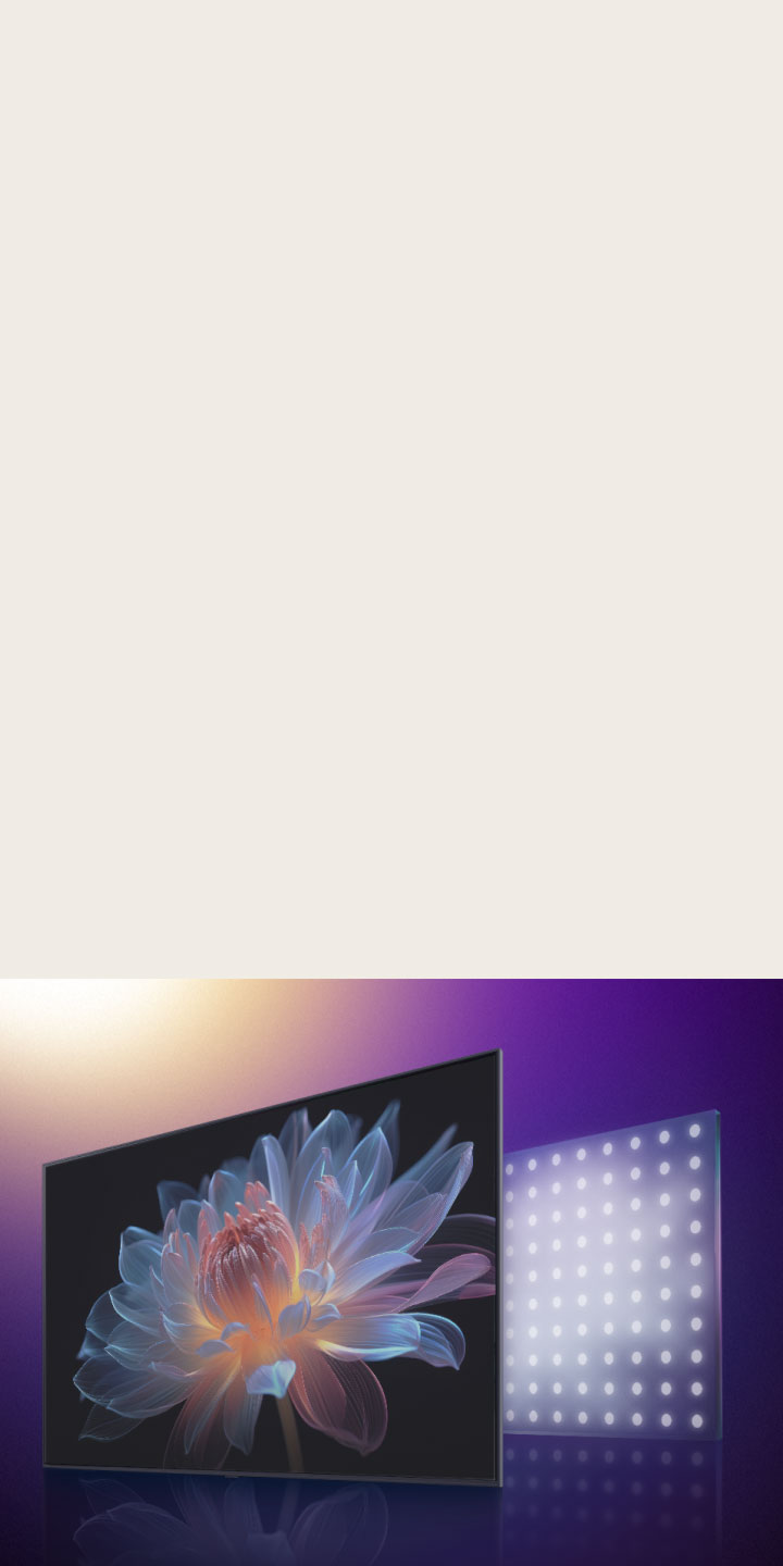 TV screen with a holographic flower on the screen. Behind it is a visual representation of LED lights. It transitions from large LED lights to smaller ones and the holographic flower image is suddenly enhanced, showing how LG QNED evo is able to control light with more precision resulting in a more vivid, high-contrast picture.