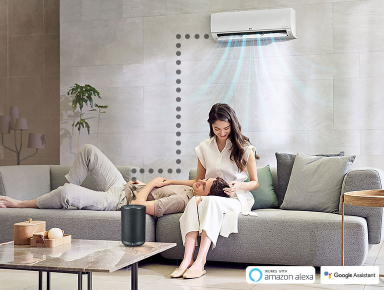 Voice Control