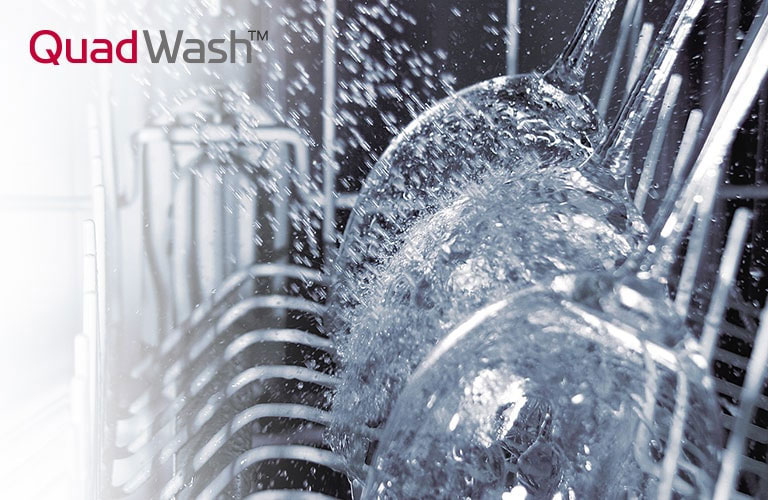 LG DFB424FM Quad Wash