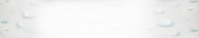 LG WW151NP True Filtration