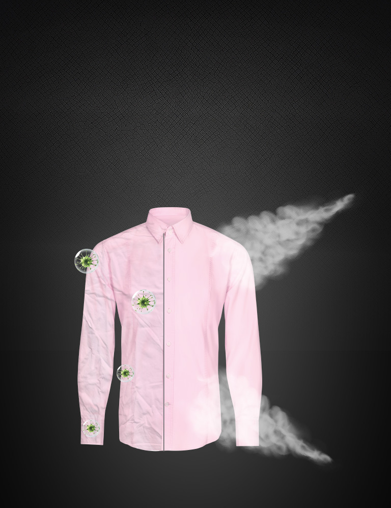 Allergy Removal with Steam