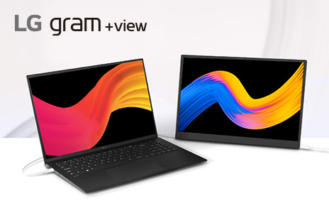 LG gram+view