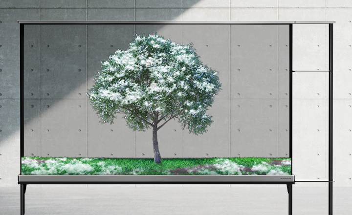 LG SIGNATURE OLED T shows a transparent screen with a green tree. The shade is drawn up as the season changes to winter and snow falls on the tree.