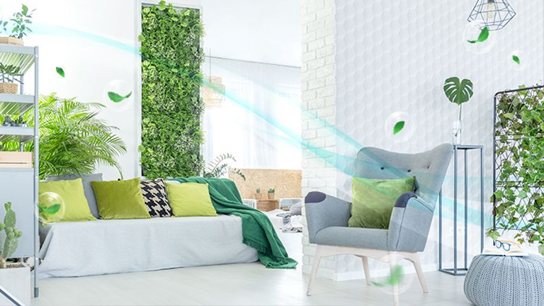Bring the green into your home….