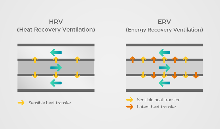 Question 3. What is the difference between an HRV and ERV?