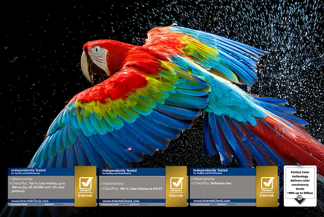 LG OLED monitor showing vivid parrot feathers illustrates Perfect Color.