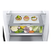 LG 384L Tall Fridge Freezer Total No Frost, Matte Black, GBB92MCBAP