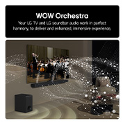 LG Soundbar US80TR Feature card - LG TV and LG Soundbar audio work in perfact harmony to deliver and enhanced immersive experience