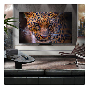 A family sits on a couch facing a LG QNED TV mounted on a wall above a LG Soundbar with a little girl pointing to a screen depicting two dolphins. The title talks about how every action is more thrilling on a massive screen.
