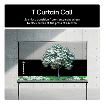 T Curtain