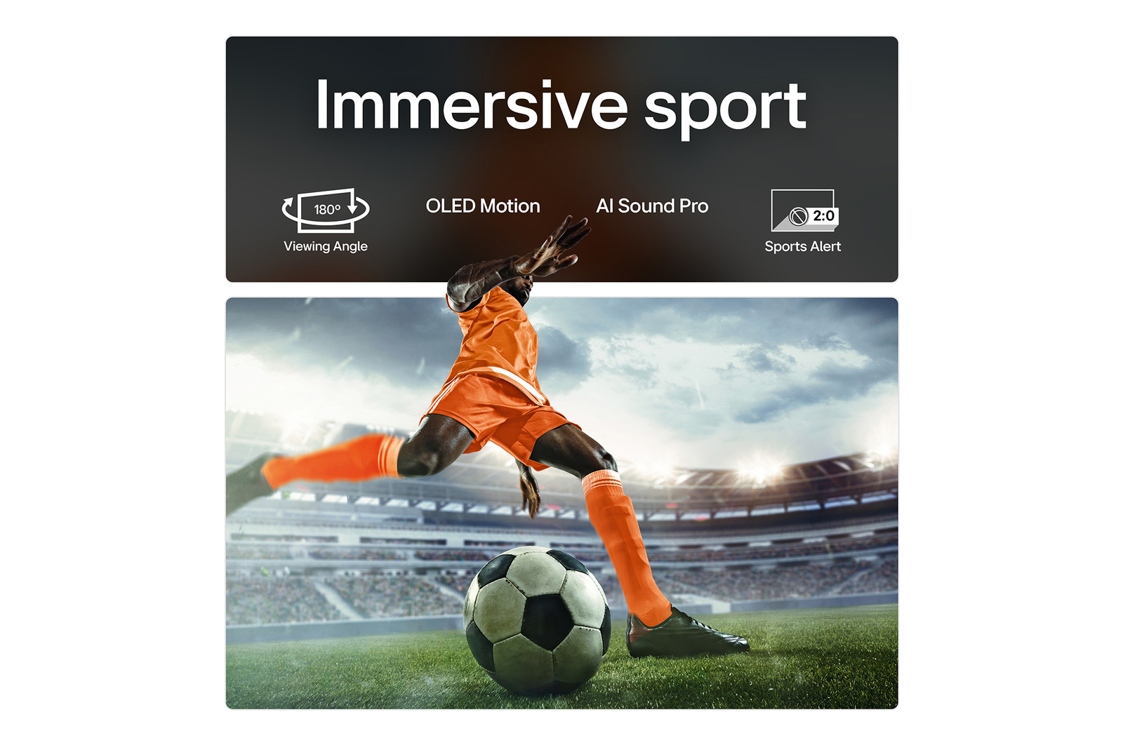 sport